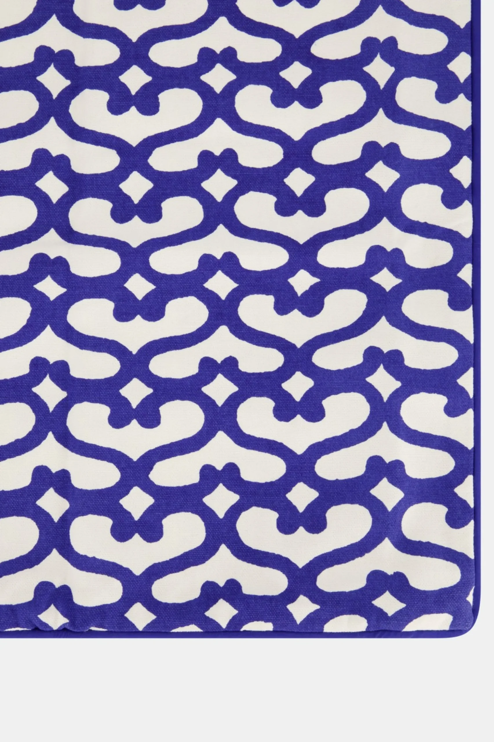 Big Cata Decorative Pillow